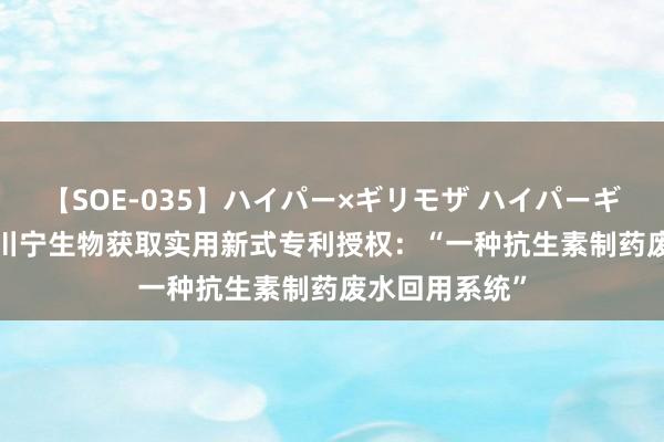 【SOE-035】ハイパー×ギリモザ ハイパーギリモザ Ami 川宁生物获取实用新式专利授权：“一种抗生素制药废水回用系统”