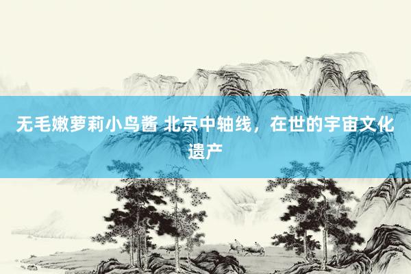 无毛嫩萝莉小鸟酱 北京中轴线，在世的宇宙文化遗产
