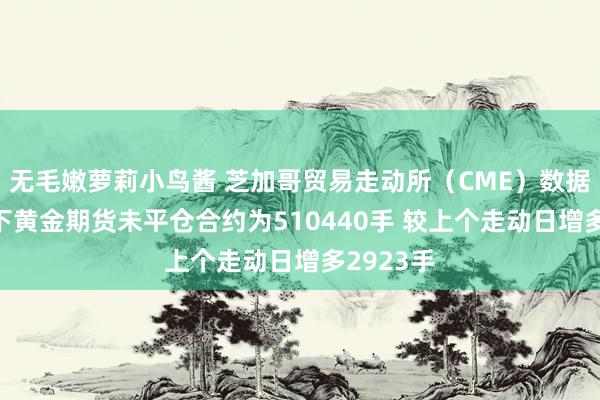 无毛嫩萝莉小鸟酱 芝加哥贸易走动所（CME）数据露馅 旗下黄金期货未平仓合约为510440手 较上个走动日增多2923手