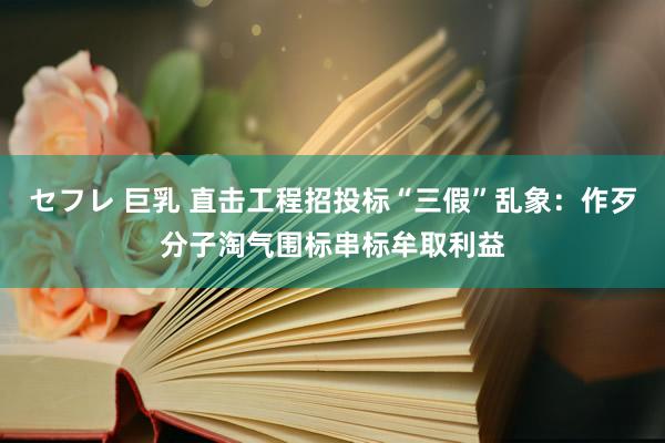 セフレ 巨乳 直击工程招投标“三假”乱象：作歹分子淘气围标串标牟取利益