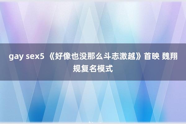 gay sex5 《好像也没那么斗志激越》首映 魏翔规复名模式