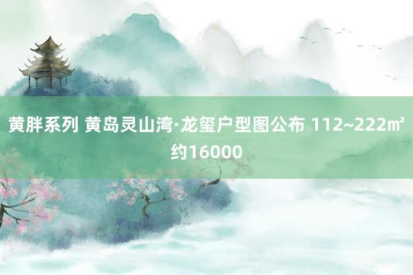 黄胖系列 黄岛灵山湾·龙玺户型图公布 112~222㎡约16000