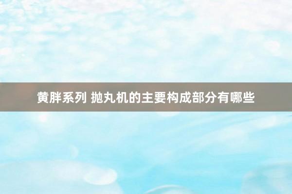 黄胖系列 抛丸机的主要构成部分有哪些