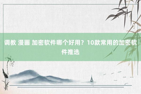 调教 漫画 加密软件哪个好用？10款常用的加密软件推选