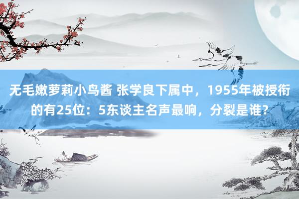 无毛嫩萝莉小鸟酱 张学良下属中，1955年被授衔的有25位：5东谈主名声最响，分裂是谁？