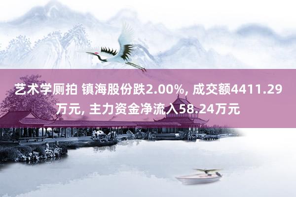 艺术学厕拍 镇海股份跌2.00%， 成交额4411.29万元， 主力资金净流入58.24万元