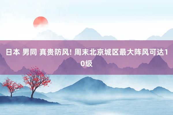 日本 男同 真贵防风! 周末北京城区最大阵风可达10级