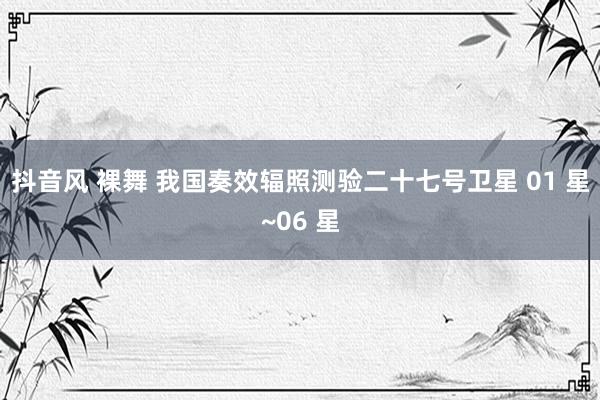 抖音风 裸舞 我国奏效辐照测验二十七号卫星 01 星~06 星