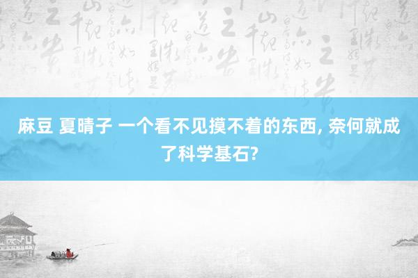 麻豆 夏晴子 一个看不见摸不着的东西， 奈何就成了科学基石?