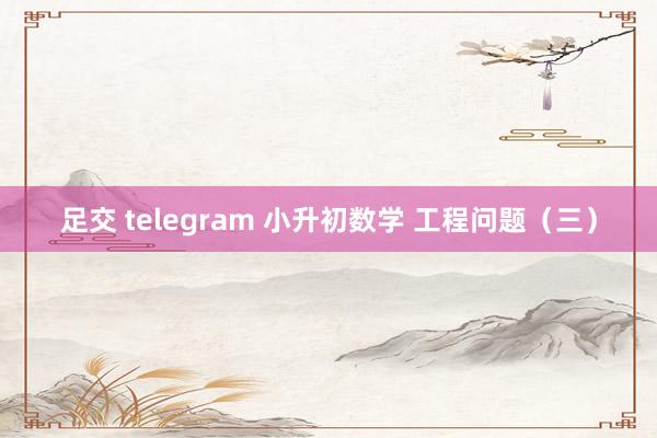 足交 telegram 小升初数学 工程问题（三）