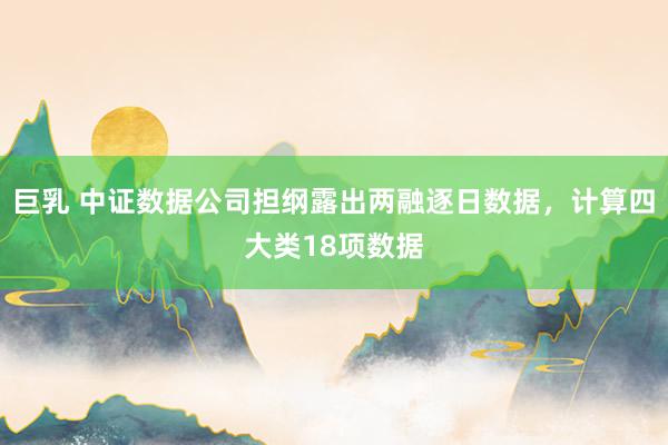 巨乳 中证数据公司担纲露出两融逐日数据，计算四大类18项数据