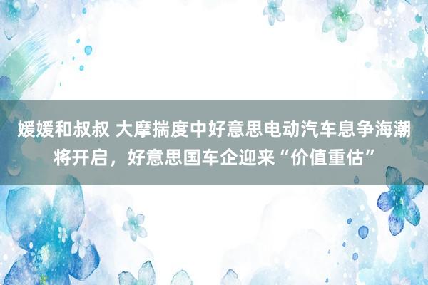 媛媛和叔叔 大摩揣度中好意思电动汽车息争海潮将开启，好意思国车企迎来“价值重估”