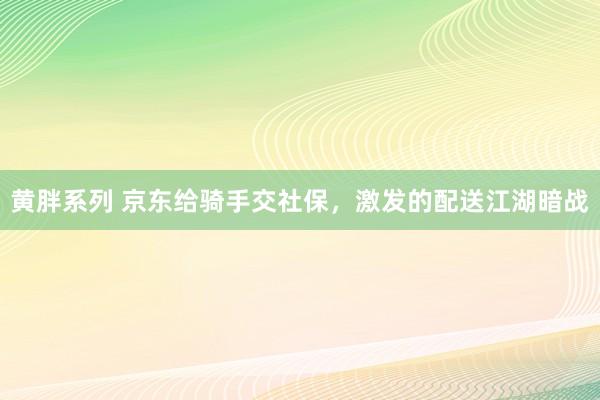 黄胖系列 京东给骑手交社保，激发的配送江湖暗战
